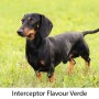 INTERCEPTOR FLAVOUR VERDE 5.75 MG 8 CPR