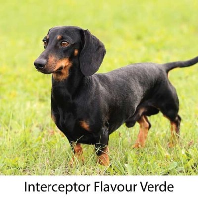 Interceptor flavour verde 5,75 mg 6 cpr - ParafarmaciaCimino.it