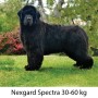 Nexgard Spectra 30 - 60 kg