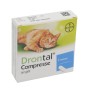 Drontal gatto 2 cpr