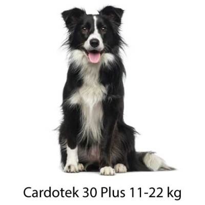 CARDOTEK 30 PLUS VERDE
