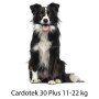 CARDOTEK 30 PLUS VERDE