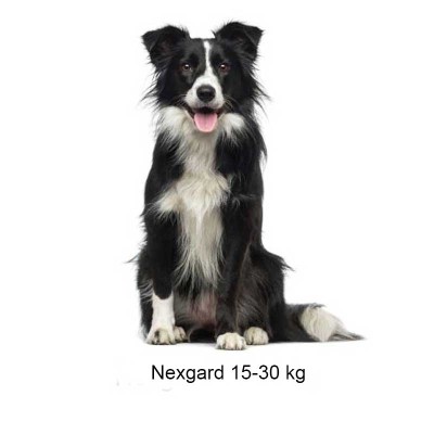 Nexgard Spectra