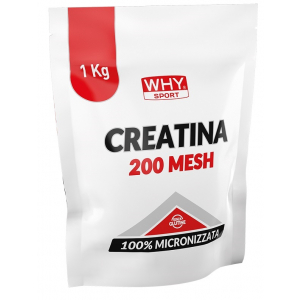 WHYSPORT CREATINA 200 MESH 1KG